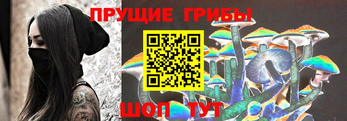 Псилоцибиновые грибы GOLDEN TEACHER Волгодонск